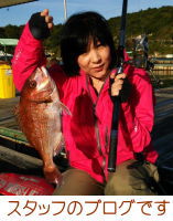 �X�^�b�t�u���O